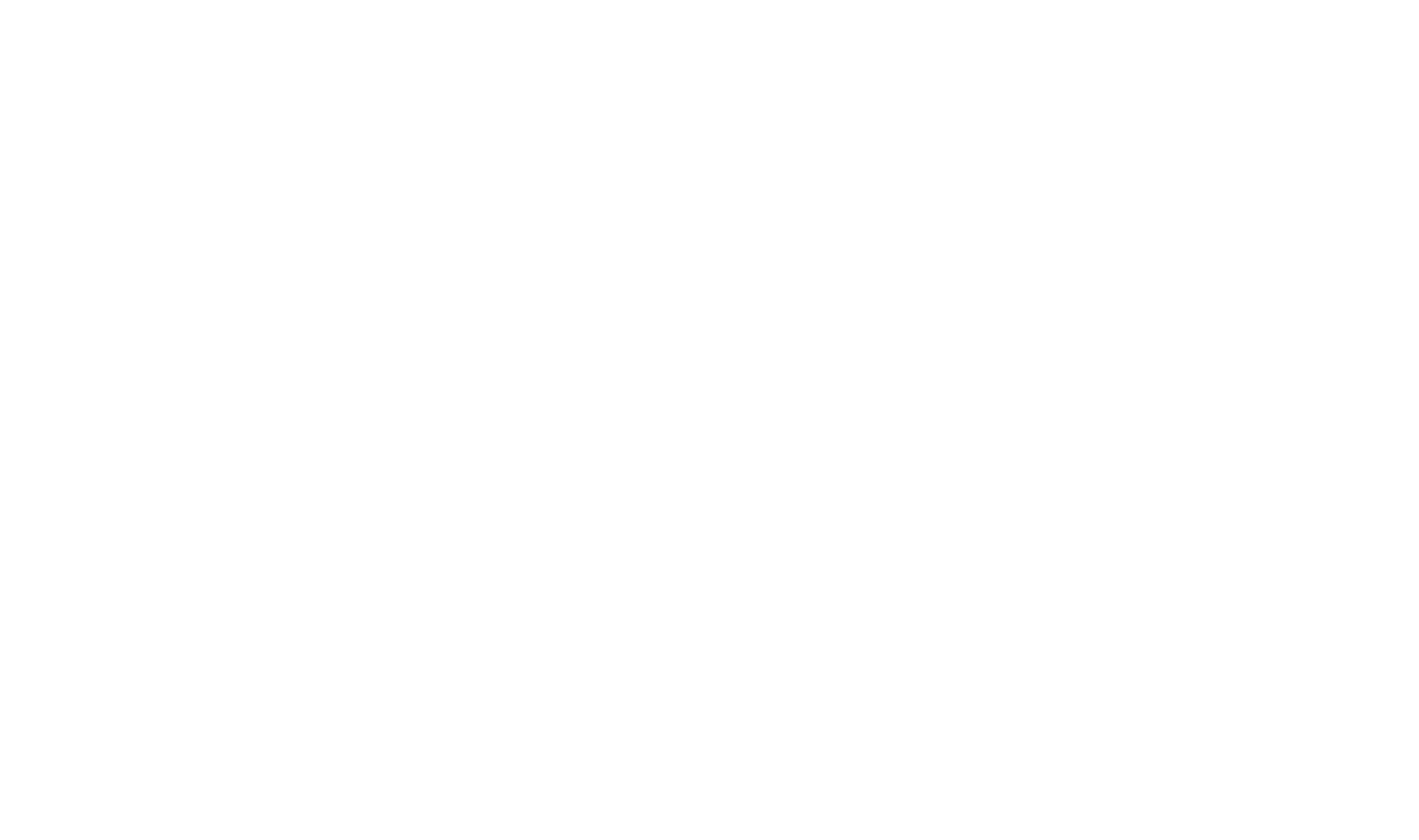 force multiplier